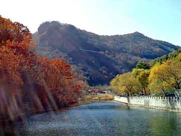 新澳天天开奖资料大全旅游团，陈学冬郭敬明